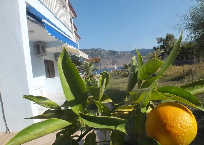 Dantel Sahil Selimiye (Aegean)