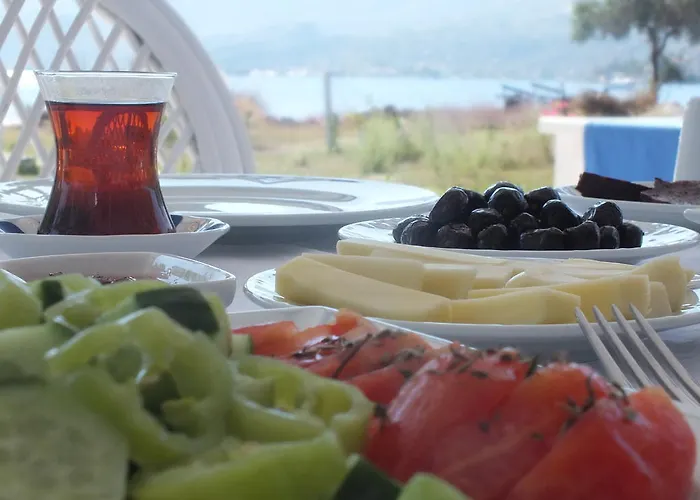 Aparthotel Dantel Sahil *